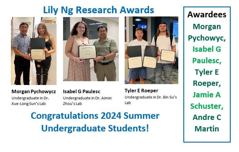 2024 Lily Ng Research Award