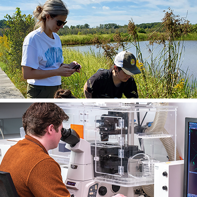 Two EVS students conducting field research outside near a pond. A BIO student in a laboratory for research work.