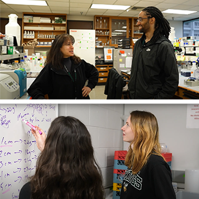 A BIO student and a professor discussing in a well-lit classroom lab. Two EVS students solving a formula on a whiteboard in a classroom.