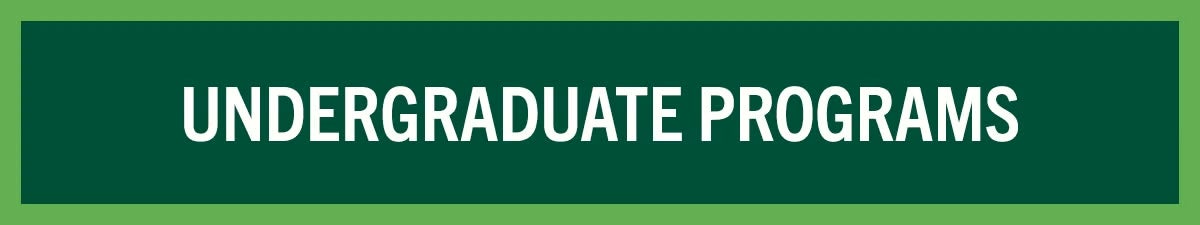 undergraduate programs button
