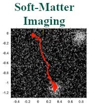 reu fodor soft matter