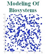 reu ryan modeling biosystems