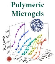 reu streletzky polymeric microgels