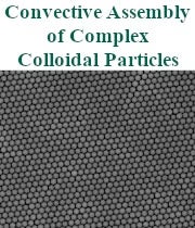 reu wirth convective assembly