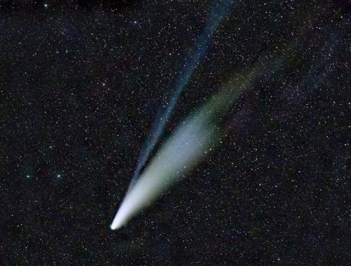 NEOWISE Comet