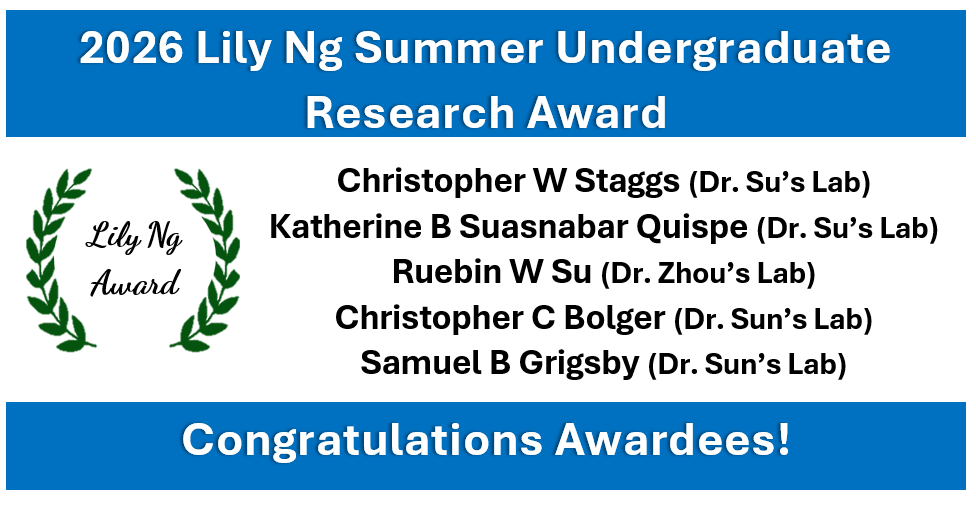 Lily_Ng_Undergraduate Awards