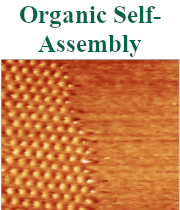 Organic Self-Assembly