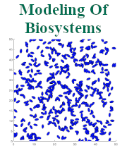 Modeling BioSystems