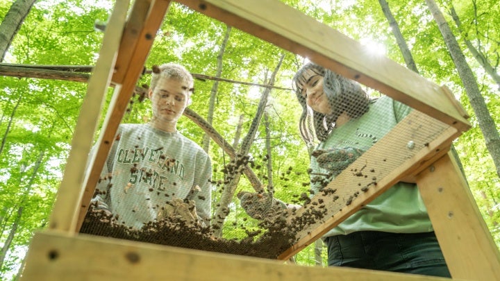 Anthropology Field School - Students Sifting