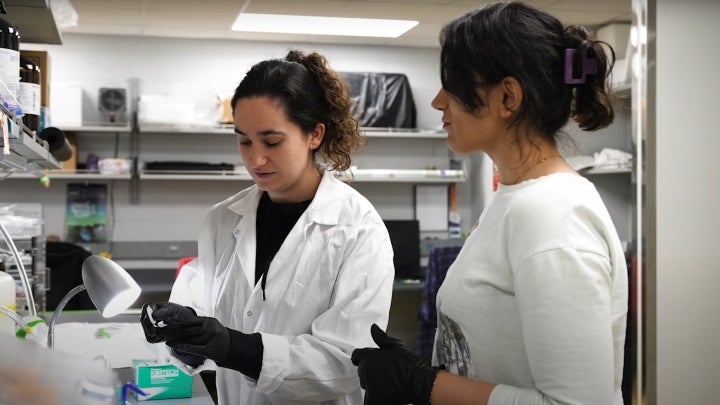 Two EVS students in lab coats conducting research in well-lit laboratory.