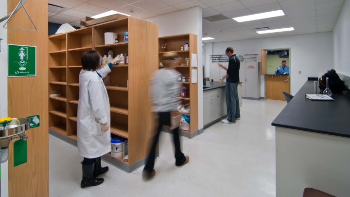 A group of students in a classroom laboratory.