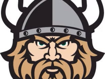 Magnus the viking