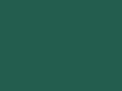 r33-g93-b75