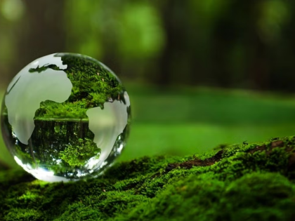 An illustration of miniature Earth glass globe on mossy ground in a heavily green forested area.