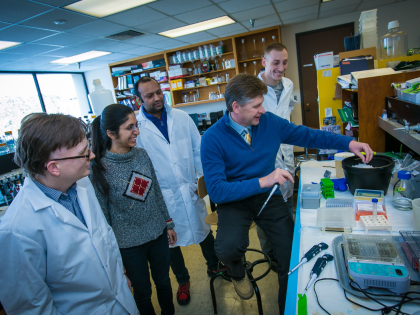 A BIO faculty member conducting an experiment with a group of BIO students in a classroom lab.