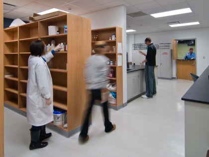 A group of students in a classroom laboratory.