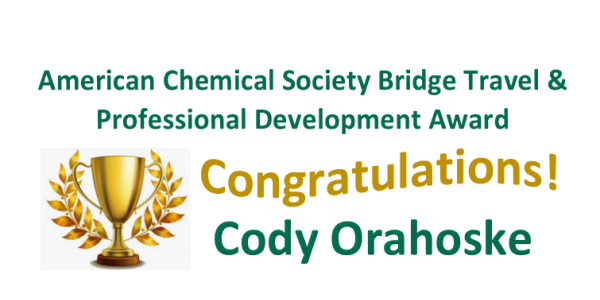ACS Professional Development Award 
