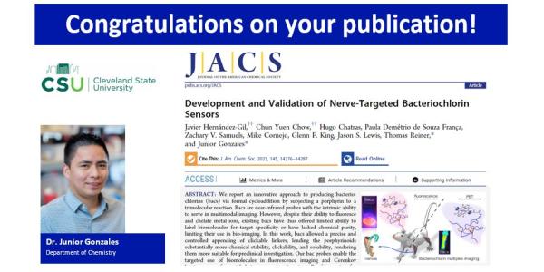 Development and Validation of Nerve-Targeted Bacteriochlorin Sensors