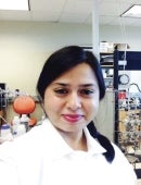 Picture of Ruchi Bhattacharya
